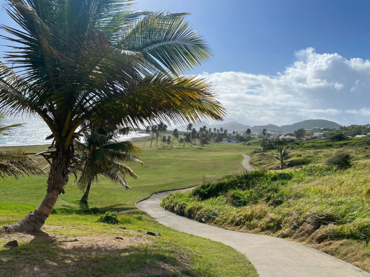 Unlock Unparalleled Global Freedom: Your Guide to St. Kitts and Nevis Citizenship by Investment